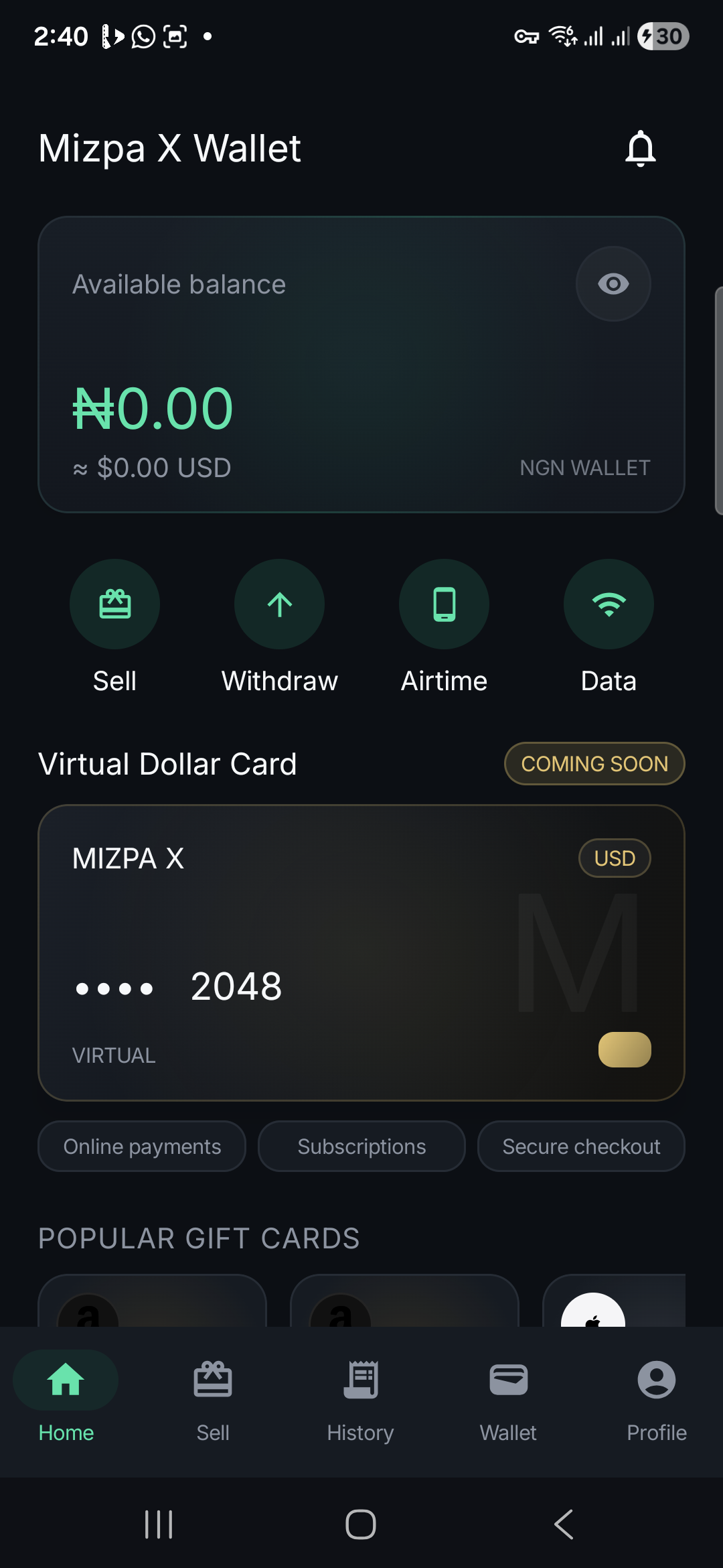 Mizpa X Wallet home screen after installation